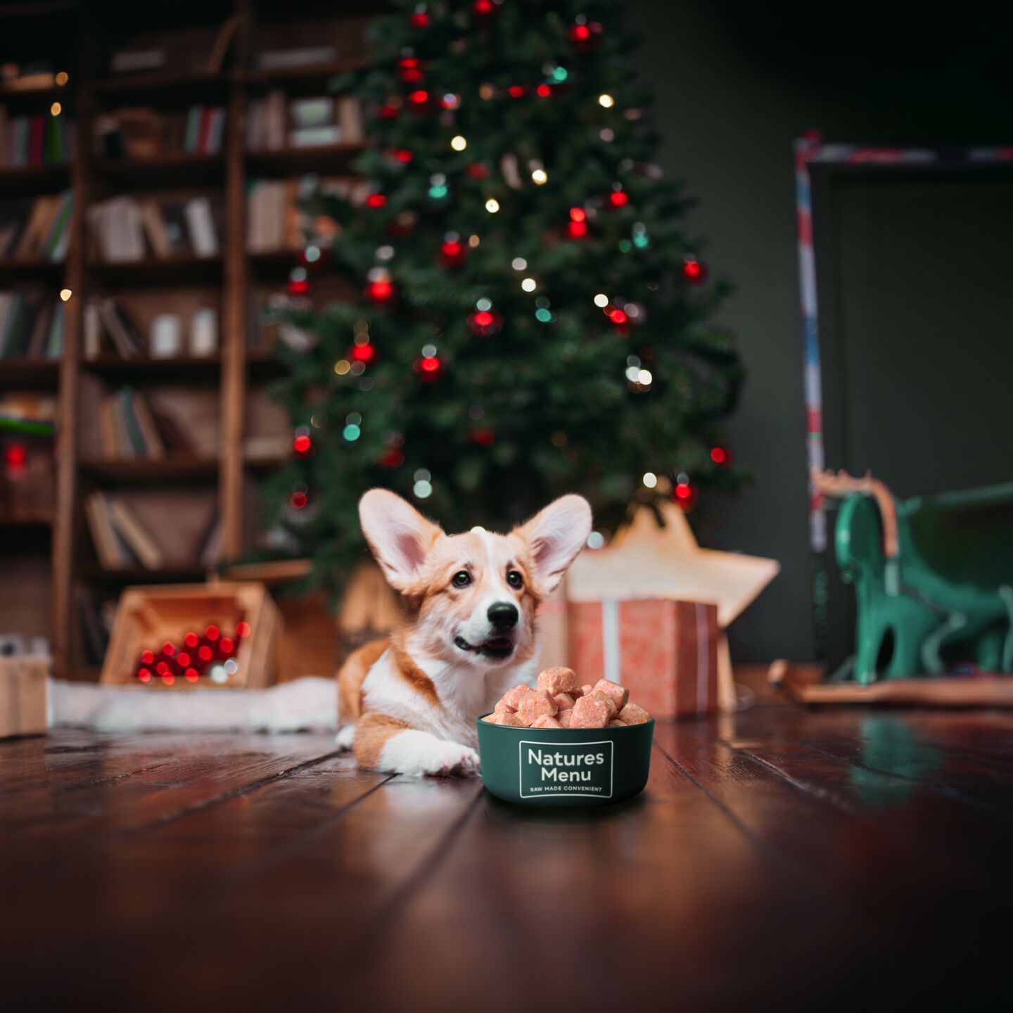 <strong>A DOG'S CHRISTMAS: HOW TO HAVE FESTIVE FUN WITH YOUR FOUR-LEGGED FRIEND</strong><br><br>Christmas is just around the corner. It’s a time for being together, and if you’ve got a four-legged family...